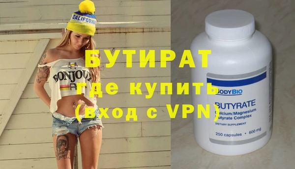 сатива Новозыбков