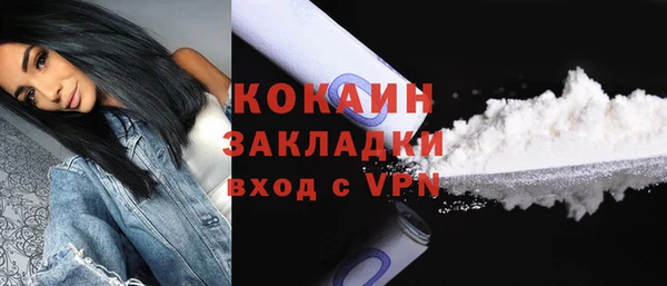 сатива Новозыбков