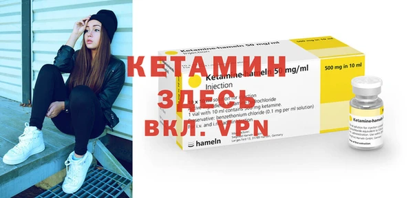 сатива Новозыбков