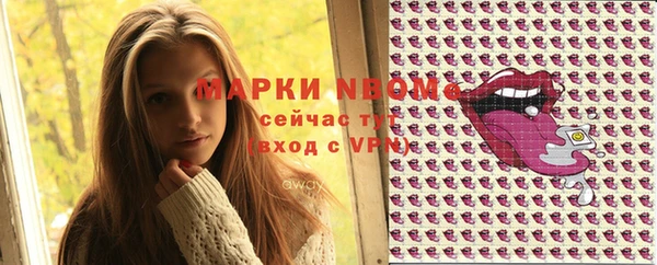 сатива Новозыбков