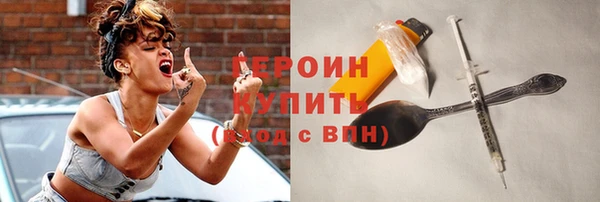сатива Новозыбков