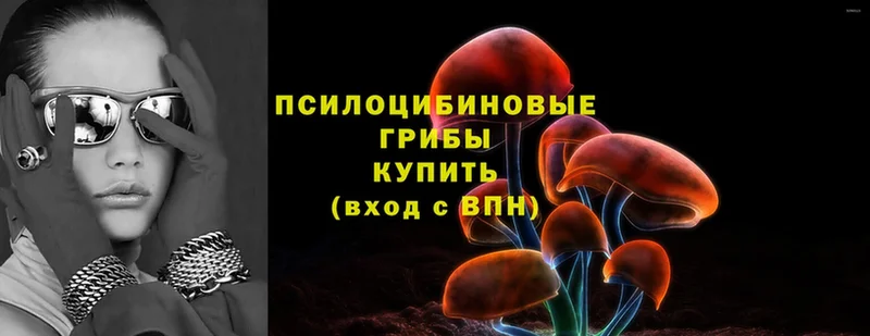 Псилоцибиновые грибы Psilocybine cubensis  даркнет сайт  hydra ссылка  Избербаш 