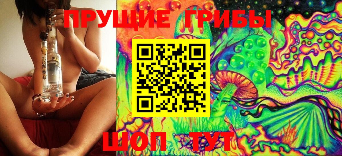 Галлюциногенные грибы Cubensis  Избербаш 