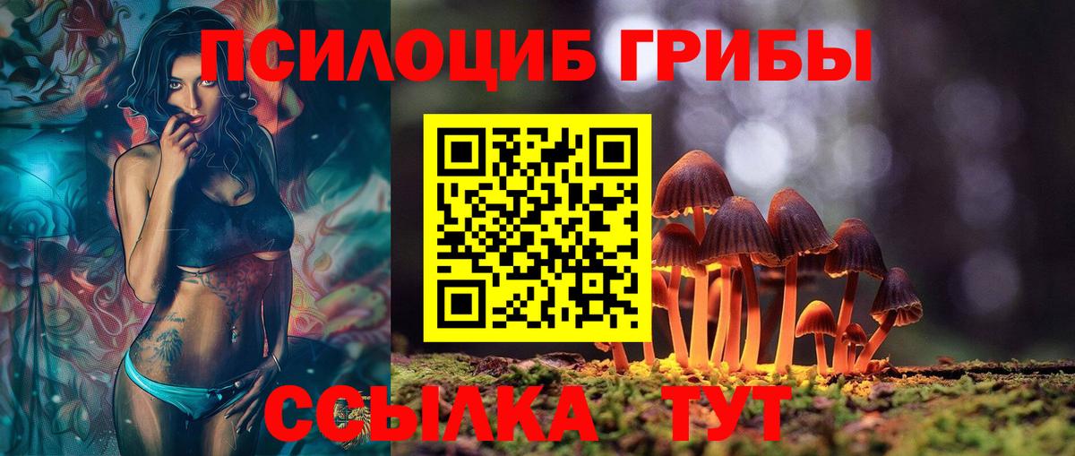 Псилоцибиновые грибы ЛСД Избербаш